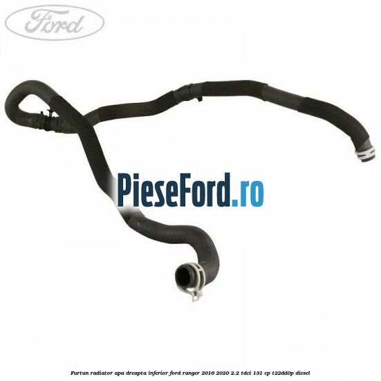 Furtun radiator apa dreapta inferior Ford Ranger 2016-2020 2.2 TDCi 131 cp T22DD0P diesel