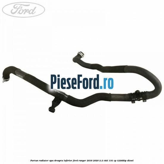 Furtun radiator apa dreapta inferior Ford Ranger 2016-2020 2.2 TDCi 131 cp T22DD0P diesel