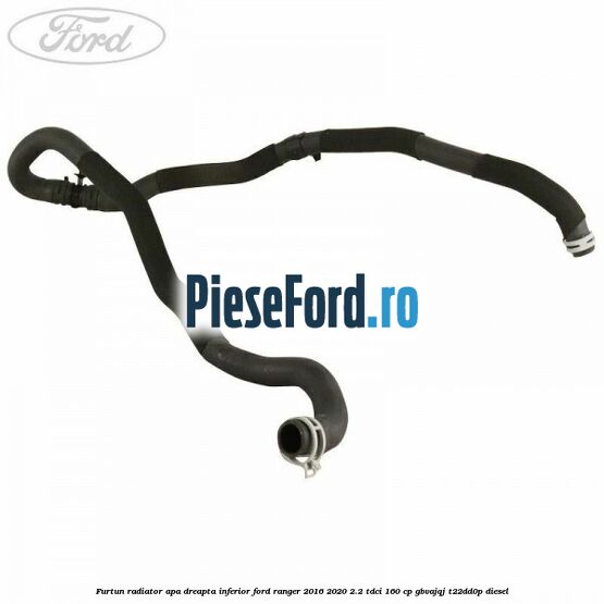 Furtun radiator apa dreapta inferior Ford Ranger 2016-2020 2.2 TDCi 160 cp GBVAJQJ, T22DD0P diesel