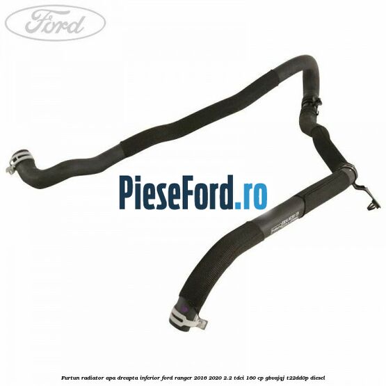 Furtun radiator apa dreapta inferior Ford Ranger 2016-2020 2.2 TDCi 160 cp GBVAJQJ, T22DD0P diesel