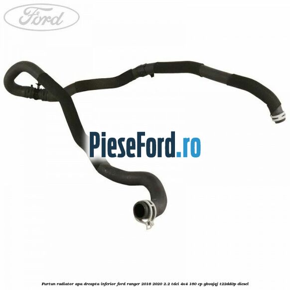 Furtun radiator apa dreapta inferior Ford Ranger 2016-2020 2.2 TDCi 4x4 160 cp GBVAJQJ, T22DD0P diesel