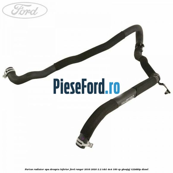 Furtun radiator apa dreapta inferior Ford Ranger 2016-2020 2.2 TDCi 4x4 160 cp GBVAJQJ, T22DD0P diesel