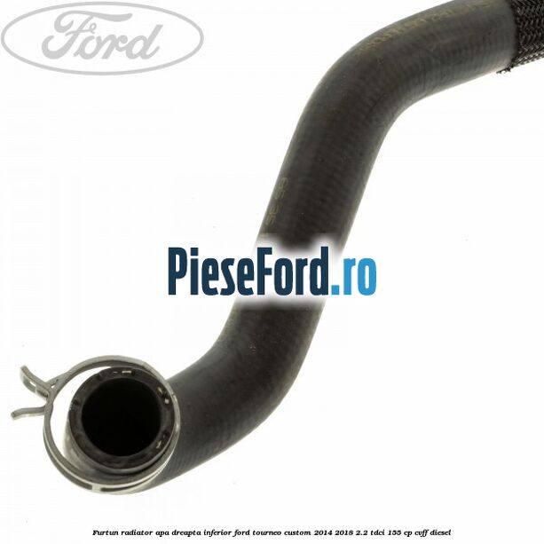 Furtun radiator apa dreapta inferior Ford Tourneo Custom 2014-2018 2.2 TDCi 155 cp CVFF diesel