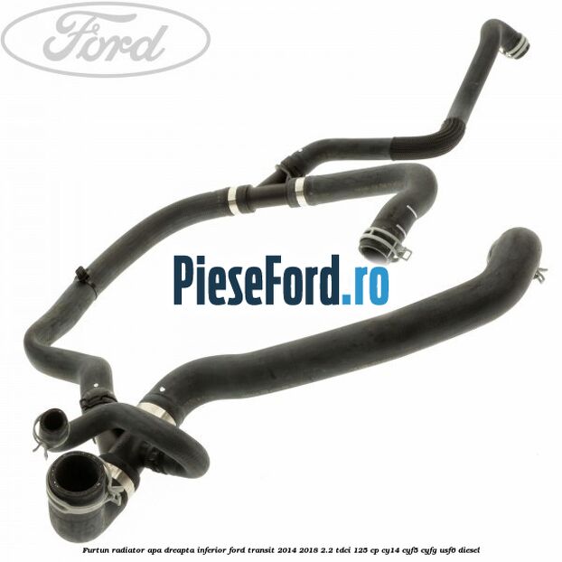 Furtun radiator apa dreapta inferior Ford Transit 2014-2018 2.2 TDCi 125 cp CY14, CYF5, CYFG, USF6 diesel