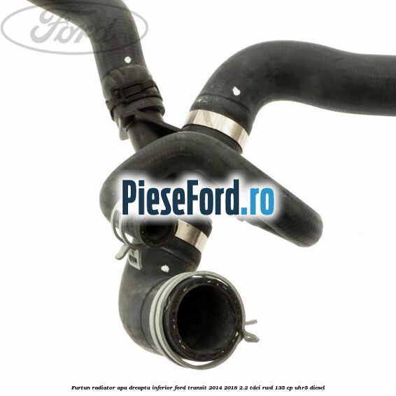Furtun radiator apa dreapta inferior Ford Transit 2014-2018 2.2 TDCi RWD 135 cp UHR5 diesel