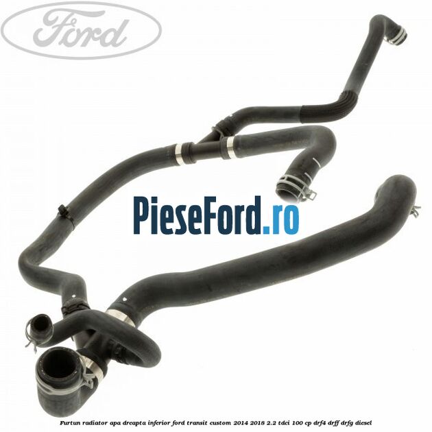 Furtun radiator apa dreapta inferior Ford Transit Custom 2014-2018 2.2 TDCi 100 cp DRF4, DRFF, DRFG diesel