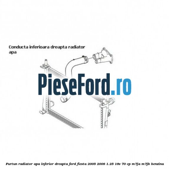 Furtun radiator apa inferior dreapta Ford Fiesta 2005-2008 1.25 16V 70 cp Furtun radiator apa inferior dreapta Ford Fiesta 2005-2008 1.25 16V 70 cp M7JA, M7JB benzina