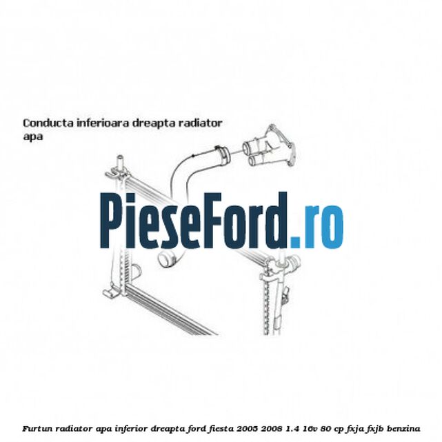 Furtun radiator apa inferior dreapta Ford Fiesta 2005-2008 1.4 16V 80 cp FXJA, FXJB benzina