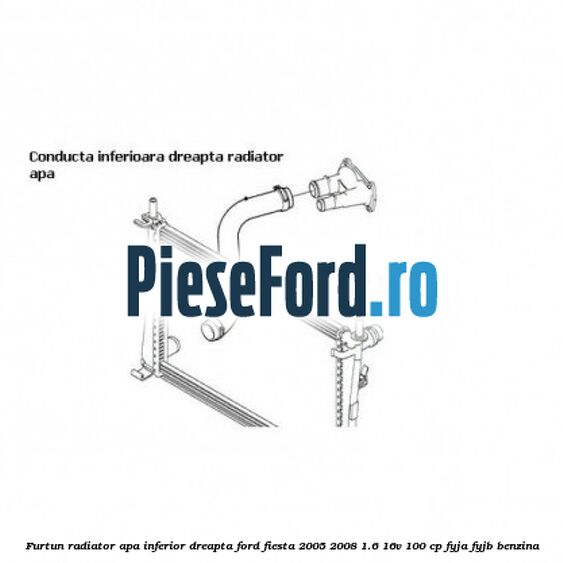 Furtun radiator apa inferior dreapta Ford Fiesta 2005-2008 1.6 16V 100 cp FYJA, FYJB benzina