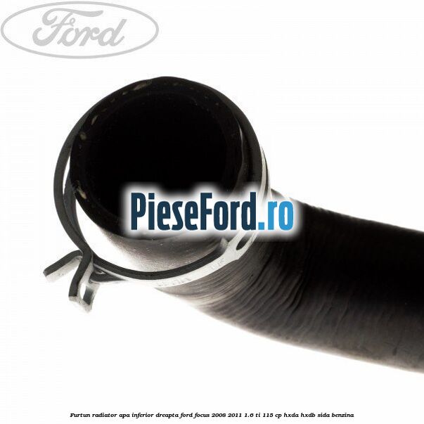 Furtun radiator apa inferior, dreapta Ford Focus 2008-2011 1.6 Ti 115 cp Furtun radiator apa inferior, dreapta Ford Focus 2008-2011 1.6 Ti 115 cp HXDA, HXDB, SIDA benzina