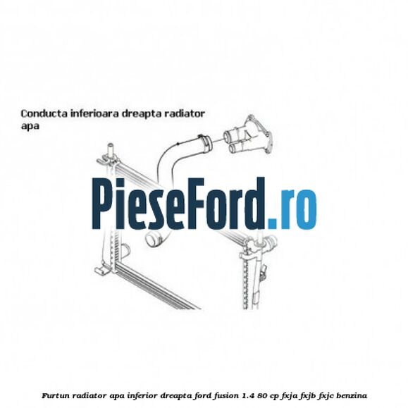 Furtun radiator apa inferior dreapta Ford Fusion 1.4 80 cp FXJA, FXJB, FXJC benzina