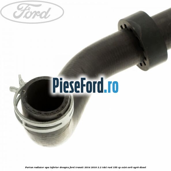 Furtun radiator apa inferior, dreapta Ford Transit 2014-2018 2.2 TDCi RWD 155 cp Furtun radiator apa inferior, dreapta Ford Transit 2014-2018 2.2 TDCi RWD 155 cp CV24, CVR5, UYR6 diesel