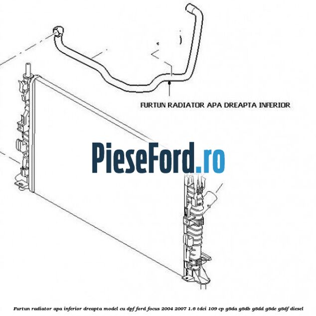 Furtun radiator apa inferior dreapta model cu DPF Ford Focus 2004-2007 1.6 TDCi 109 cp G8DA, G8DB, G8DD, G8DE, G8DF diesel