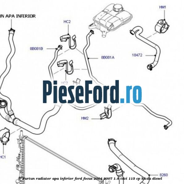 Furtun radiator apa inferior Ford Focus 2004-2007 1.8 TDCi 115 cp Furtun radiator apa inferior Ford Focus 2004-2007 1.8 TDCi 115 cp KKDA diesel