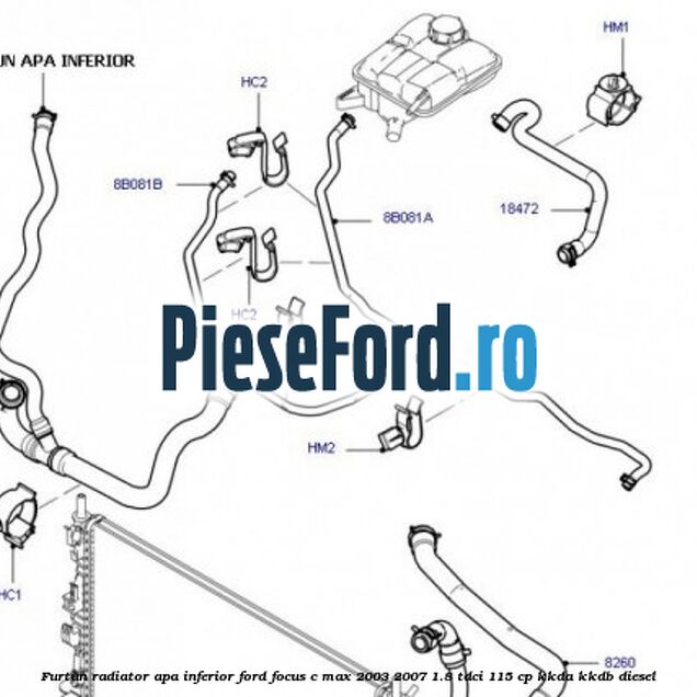 Furtun radiator apa inferior Ford Focus C-Max 2003-2007 1.8 TDCi 115 cp KKDA, KKDB diesel