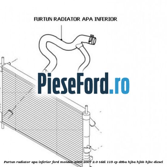 Furtun radiator apa inferior Ford Mondeo 2000-2007 2.0 TDDI 115 cp D6BA, HJBA, HJBB, HJBC diesel
