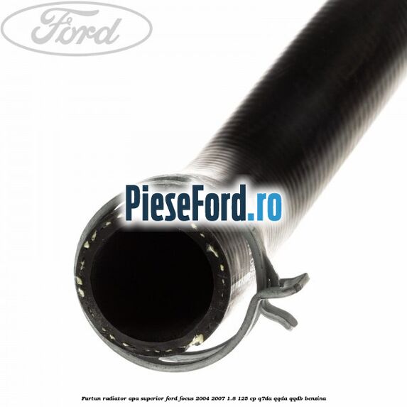 Furtun radiator apa superior Ford Focus 2004-2007 1.8 125 cp Q7DA, QQDA, QQDB benzina