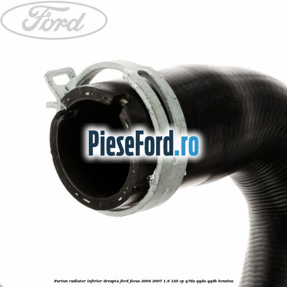 Furtun radiator inferior, dreapta Ford Focus 2004-2007 1.8 125 cp Q7DA, QQDA, QQDB benzina