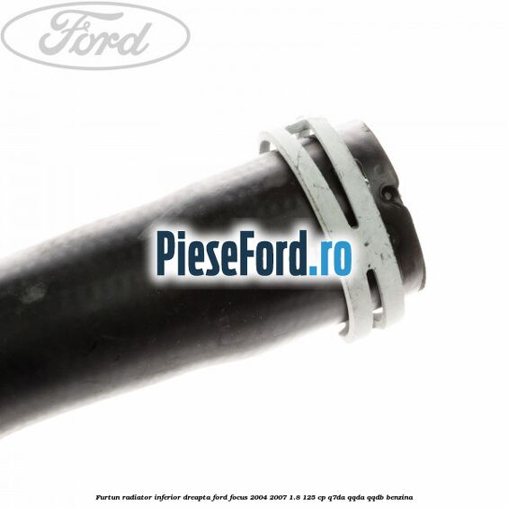 Furtun radiator inferior, dreapta Ford Focus 2004-2007 1.8 125 cp Q7DA, QQDA, QQDB benzina