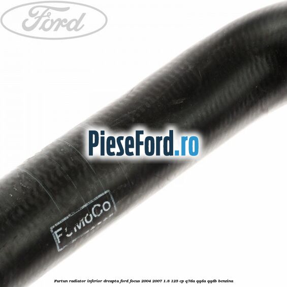Furtun radiator inferior, dreapta Ford Focus 2004-2007 1.8 125 cp Q7DA, QQDA, QQDB benzina