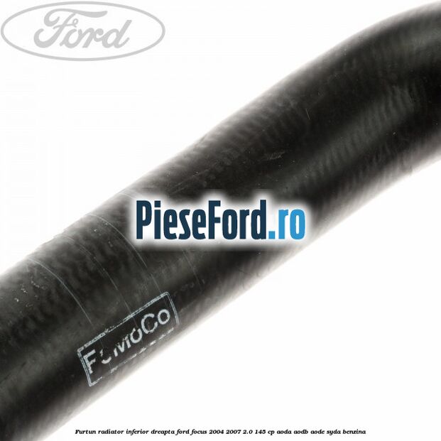 Furtun radiator inferior, dreapta Ford Focus 2004-2007 2.0 145 cp AODA, AODB, AODE, SYDA benzina