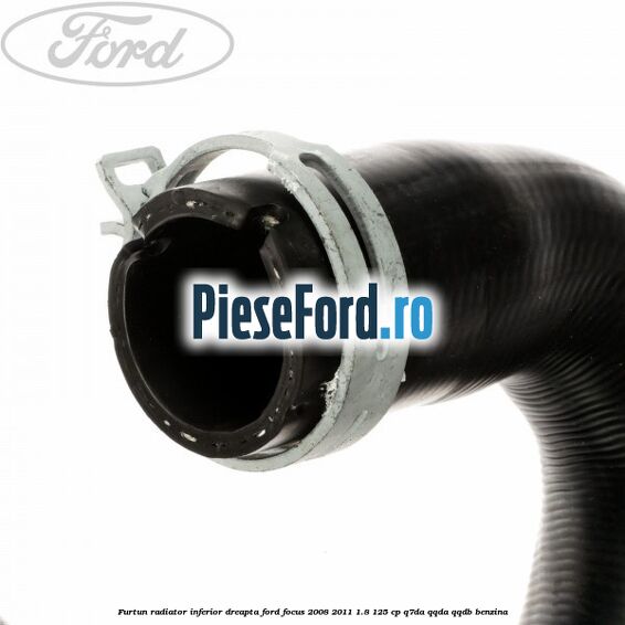 Furtun radiator inferior, dreapta Ford Focus 2008-2011 1.8 125 cp Q7DA, QQDA, QQDB benzina