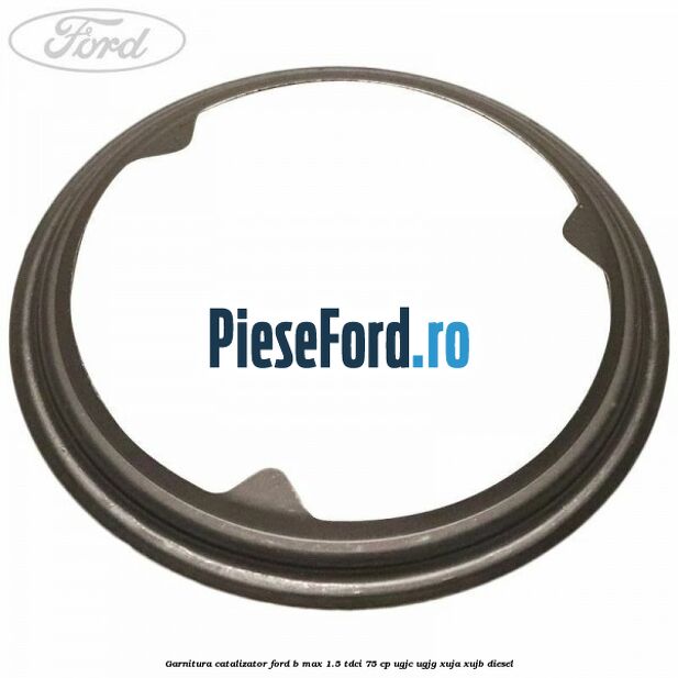 Garnitura catalizator Ford B-Max 1.5 TDCi 75 cp Garnitura catalizator Ford B-Max 1.5 TDCi 75 cp UGJC, UGJG, XUJA, XUJB diesel