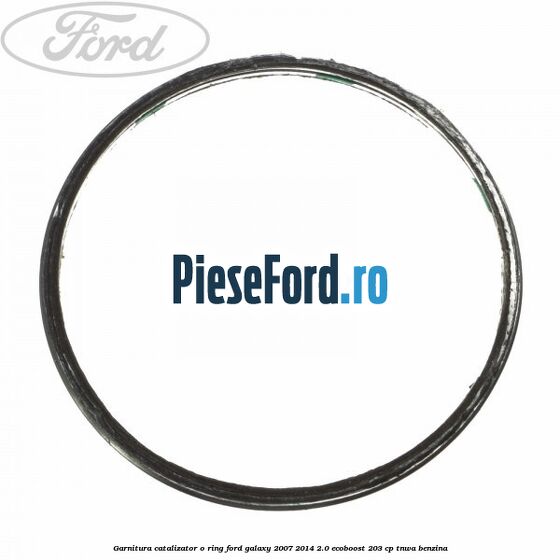 Garnitura catalizator o ring Ford Galaxy 2007-2014 2.0 EcoBoost 203 cp TNWA benzina