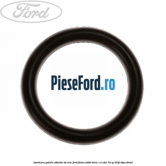 Garnitura galerie admisie 30 mm Ford Fiesta 2008-2012 1.6 TDCi 75 cp