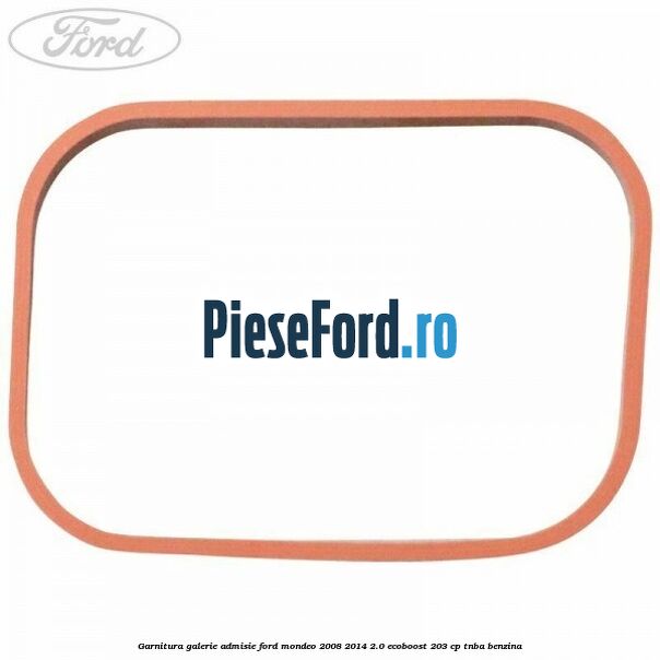 Garnitura galerie admisie Ford Mondeo 2008-2014 2.0 EcoBoost 203 cp TNBA benzina