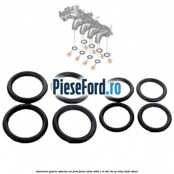 Garnitura galerie admisie set Ford Fiesta 2002-2005 1.6 TDCi 90 cp HHJA, HHJB diesel