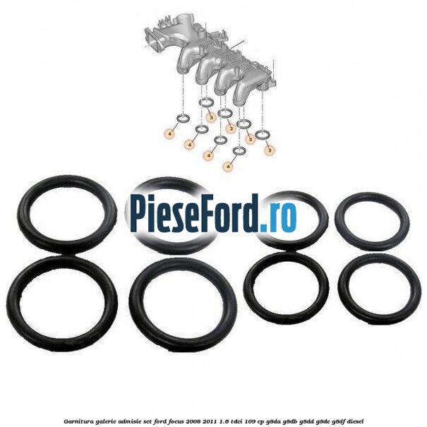 Garnitura galerie admisie set Ford Focus 2008-2011 1.6 TDCi 109 cp G8DA, G8DB, G8DD, G8DE, G8DF diesel