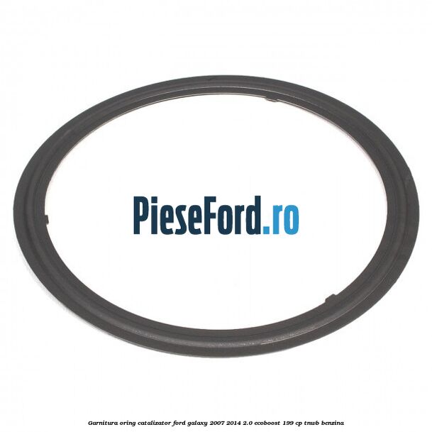 Garnitura oring catalizator Ford Galaxy 2007-2014 2.0 EcoBoost 199 cp Garnitura oring catalizator Ford Galaxy 2007-2014 2.0 EcoBoost 199 cp TNWB benzina