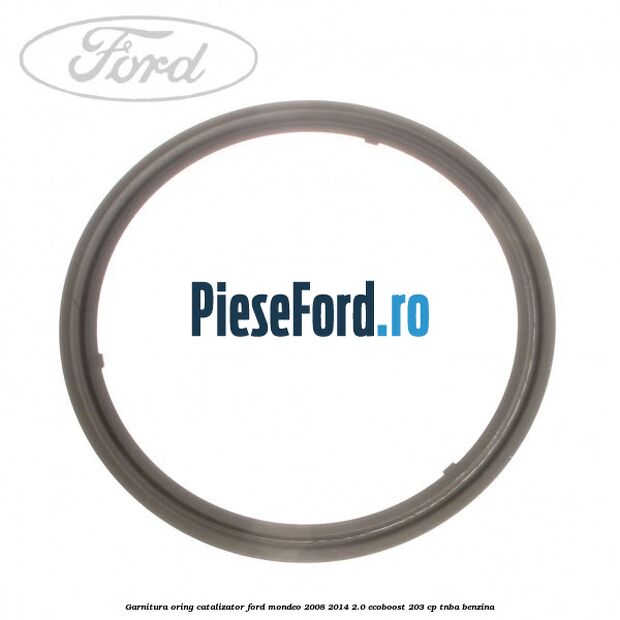 Garnitura oring catalizator Ford Mondeo 2008-2014 2.0 EcoBoost 203 cp TNBA benzina