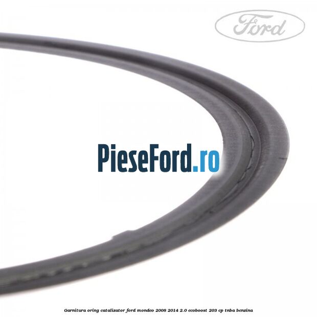 Garnitura oring catalizator Ford Mondeo 2008-2014 2.0 EcoBoost 203 cp TNBA benzina