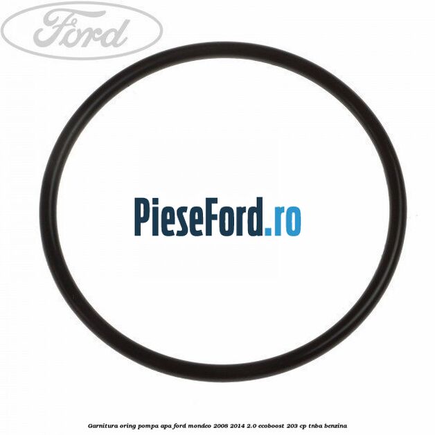Garnitura oring pompa apa Ford Mondeo 2008-2014 2.0 EcoBoost 203 cp TNBA benzina