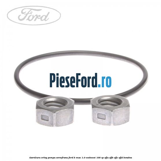 Garnitura oring pompa servofrana Ford B-Max 1.0 EcoBoost 100 cp SFJA, SFJB, SFJC, SFJD benzina
