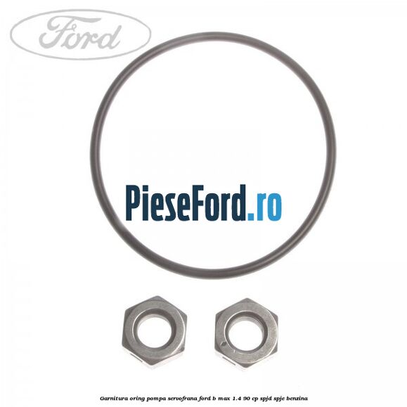 Garnitura oring pompa servofrana Ford B-Max 1.4 90 cp SPJD, SPJE benzina