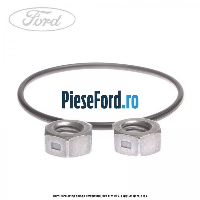 Garnitura oring pompa servofrana Ford B-Max 1.4 LPG 90 cp RTJC LPG