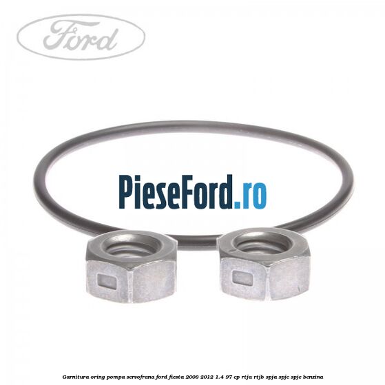 Garnitura oring pompa servofrana Ford Fiesta 2008-2012 1.4 97 cp RTJA, RTJB, SPJA, SPJC, SPJE benzina