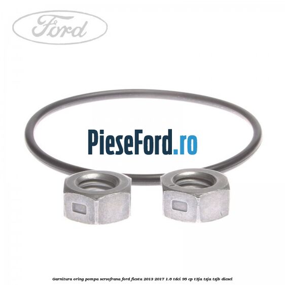 Garnitura oring pompa servofrana Ford Fiesta 2013-2017 1.6 TDCi 95 cp T3JA, TZJA, TZJB diesel