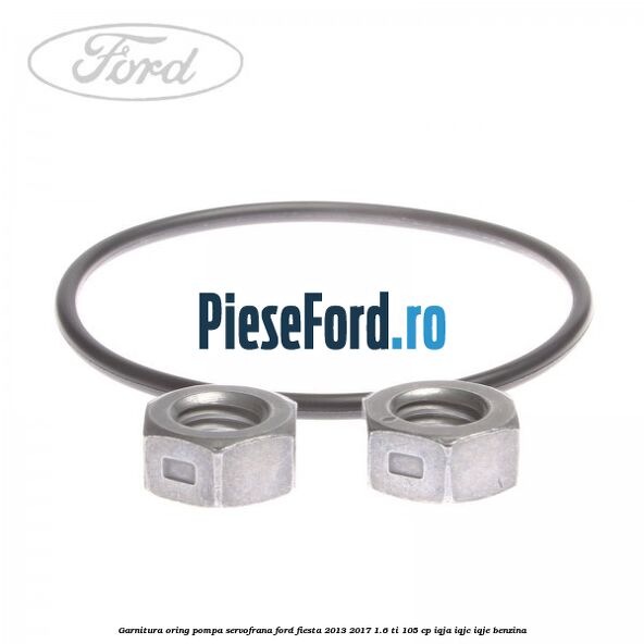 Garnitura oring pompa servofrana Ford Fiesta 2013-2017 1.6 Ti 105 cp IQJA, IQJC, IQJE benzina