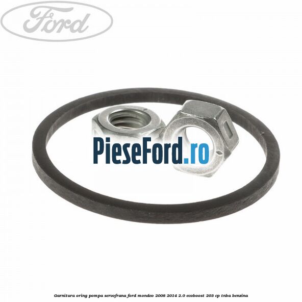 Garnitura, oring pompa servofrana Ford Mondeo 2008-2014 2.0 EcoBoost 203 cp TNBA benzina