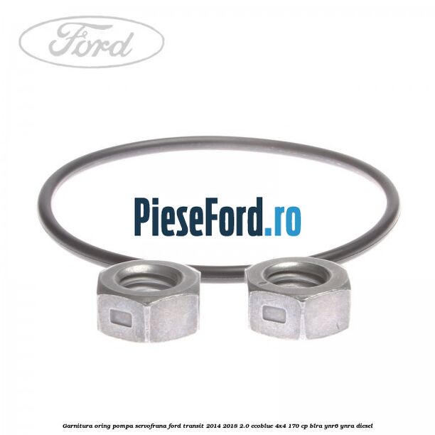 Garnitura oring pompa servofrana Ford Transit 2014-2018 2.0 EcoBlue 4x4 170 cp BLRA, YNR6, YNRA diesel