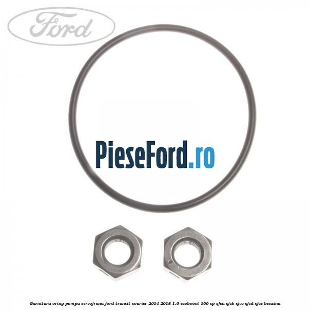Garnitura oring pompa servofrana Ford Transit Courier 2014-2018 1.0 EcoBoost 100 cp SFCA, SFCB, SFCC, SFCD, SFCE benzina