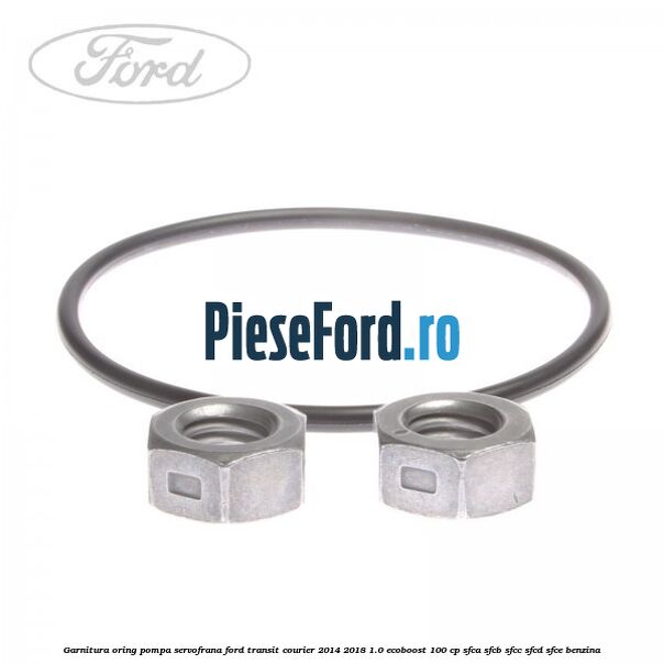 Garnitura oring pompa servofrana Ford Transit Courier 2014-2018 1.0 EcoBoost 100 cp SFCA, SFCB, SFCC, SFCD, SFCE benzina