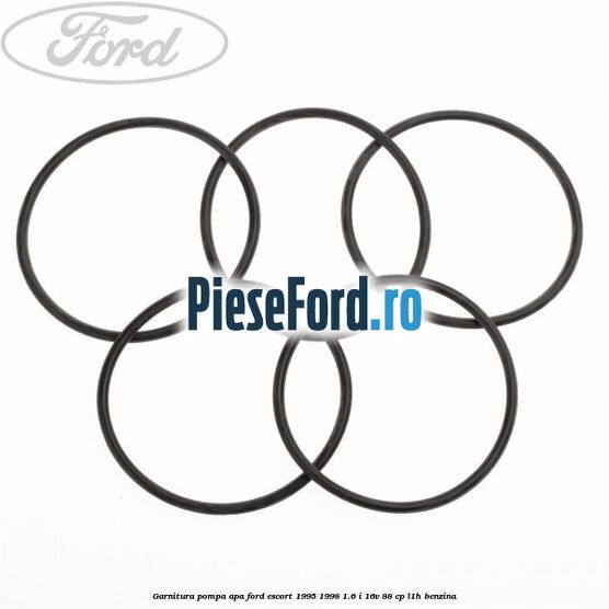 Garnitura pompa apa Ford Escort 1995-1998 1.6 i 16V 88 cp L1H benzina