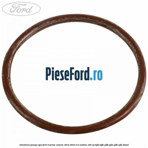 Garnitura pompa apa Ford Tourneo Custom 2014-2018 2.0 EcoBlue 105 cp Garnitura pompa apa Ford Tourneo Custom 2014-2018 2.0 EcoBlue 105 cp BJFA, BJFB, YLF6, YLFA, YLFB, YLFS diesel