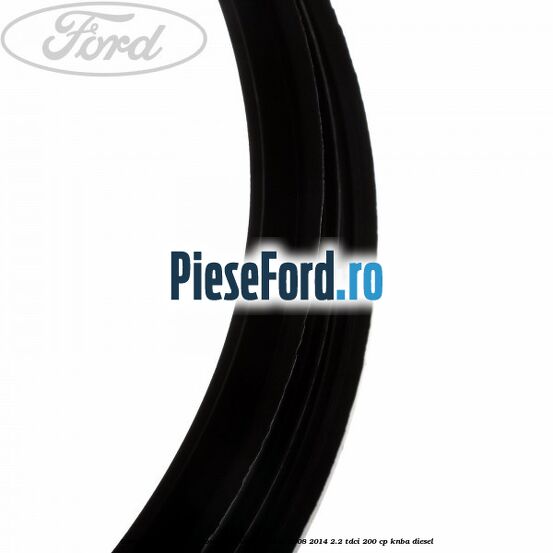 Garnitura pompa combustibil Ford Mondeo 2008-2014 2.2 TDCi 200 cp Garnitura pompa combustibil Ford Mondeo 2008-2014 2.2 TDCi 200 cp KNBA diesel