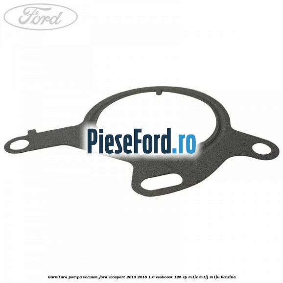 Garnitura pompa vacuum Ford EcoSport 2013-2018 1.0 EcoBoost 125 cp